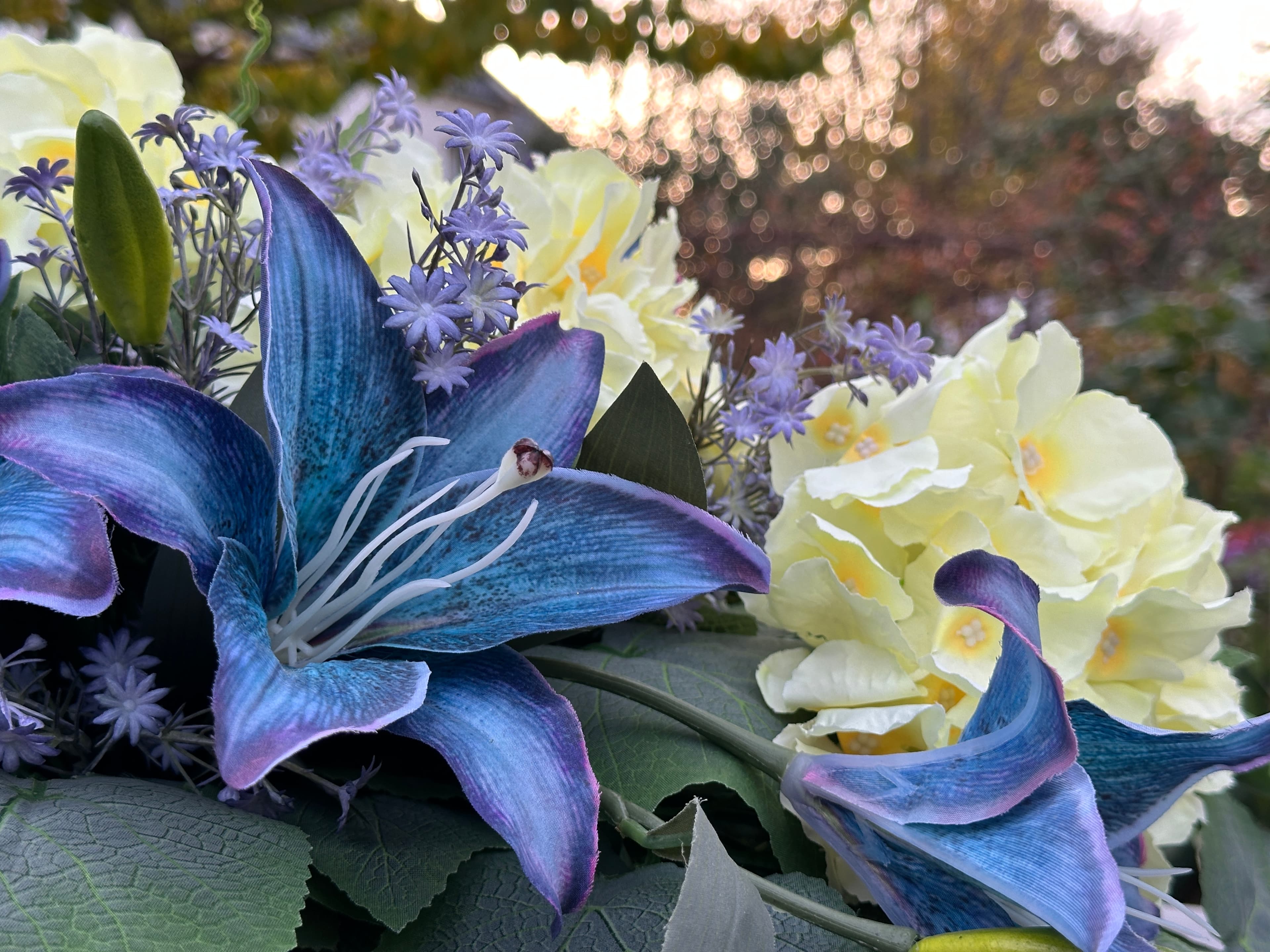 Kompozycja żółty błękit