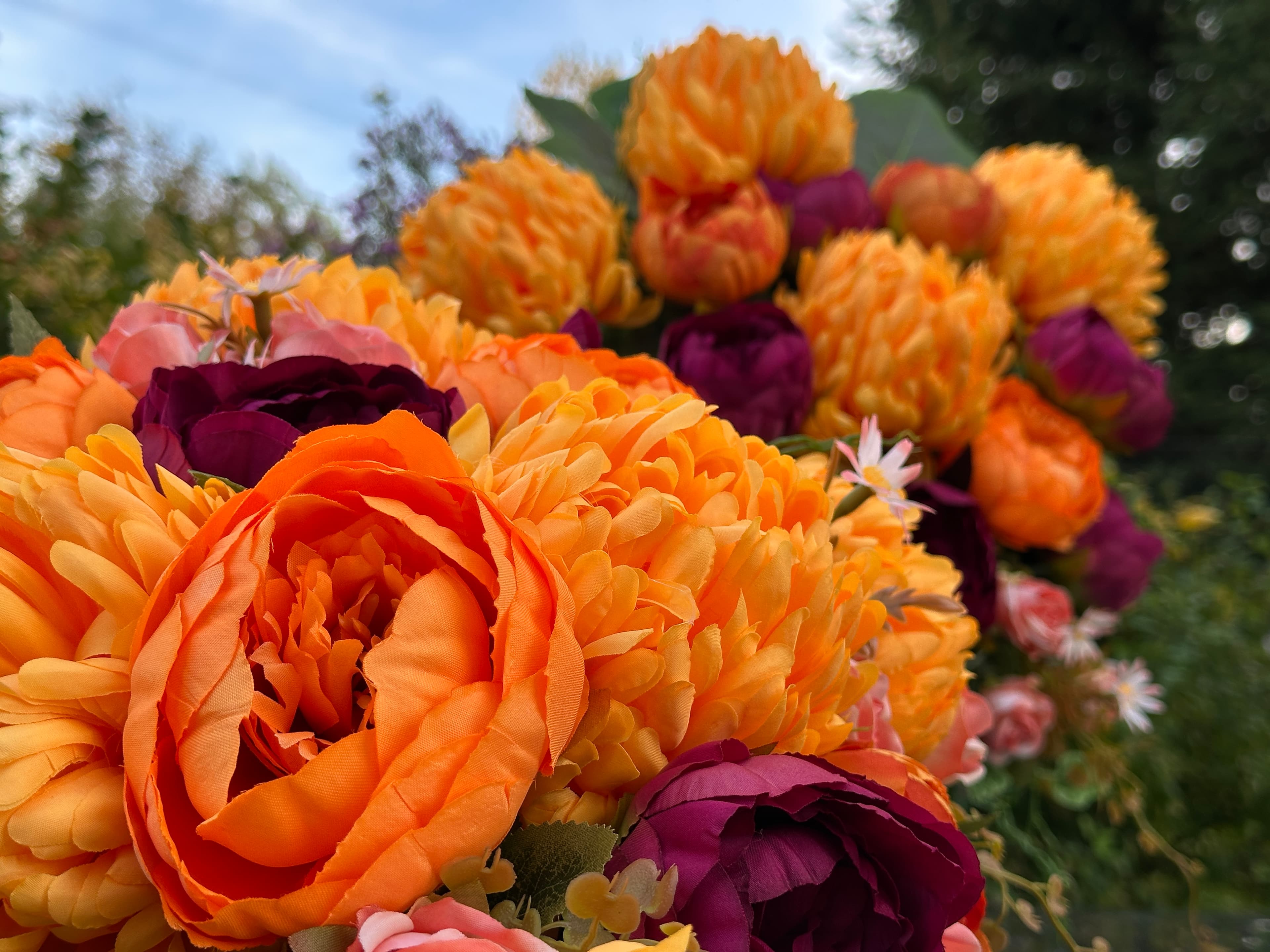 Zestaw pomarańczowy