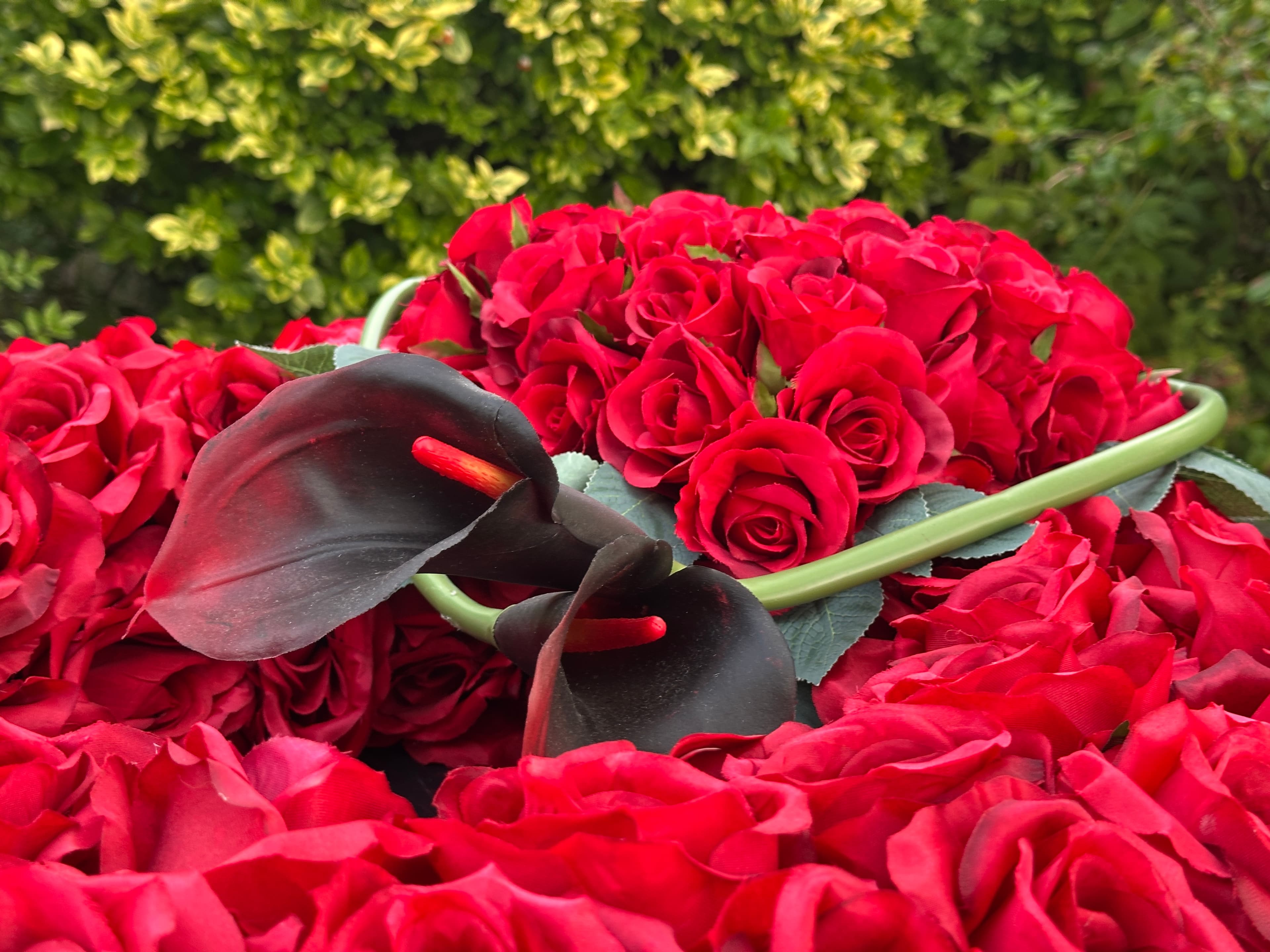 Wieniec czerwona róża